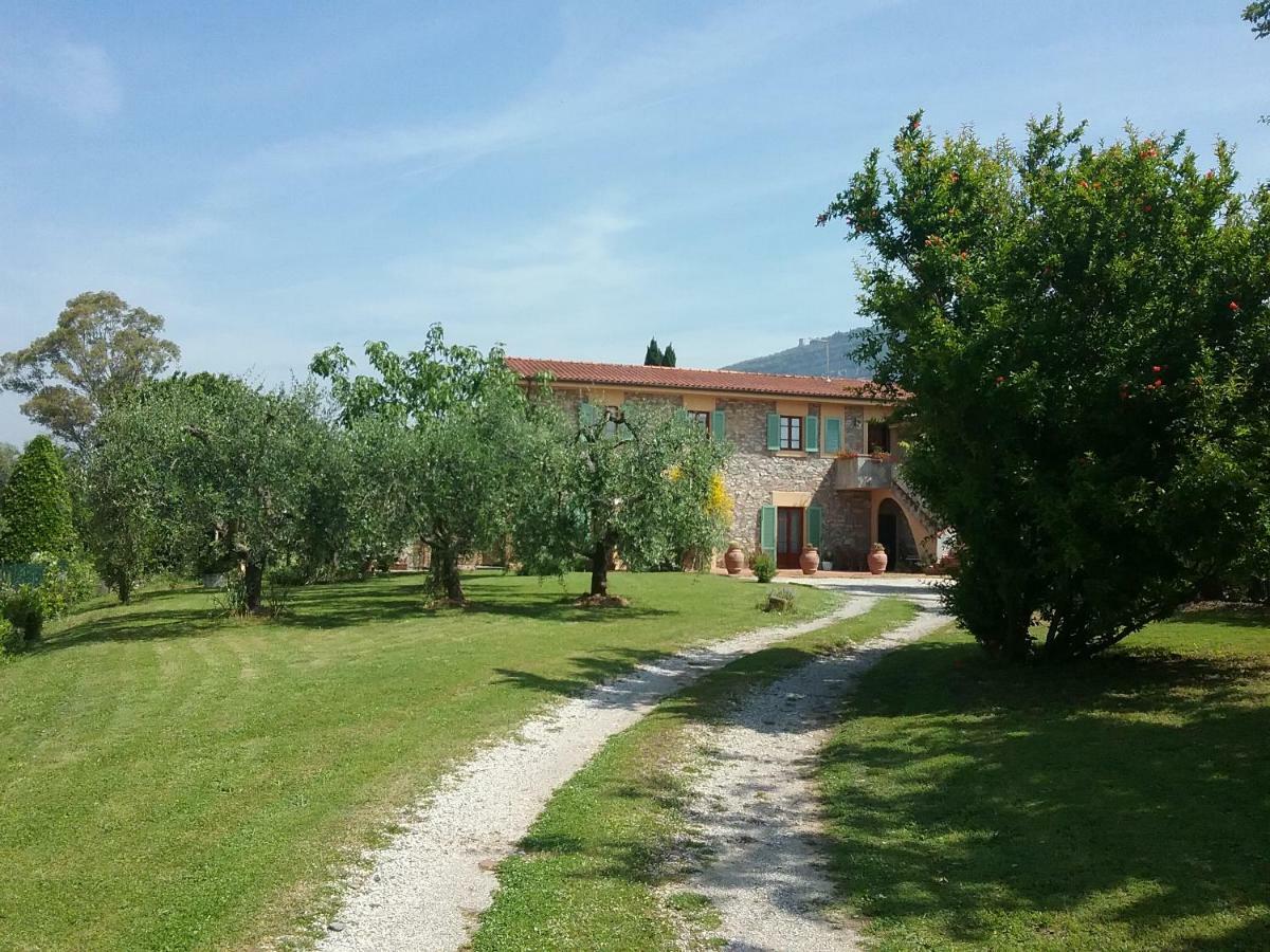 Apartamento Locazione Turistica La Ginestra Monsummano Terme Exterior foto